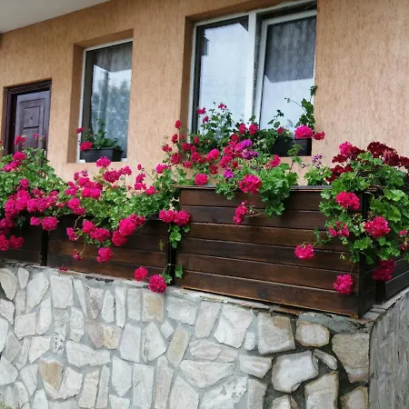 Guest house Miranis Houses Byala (Varna)